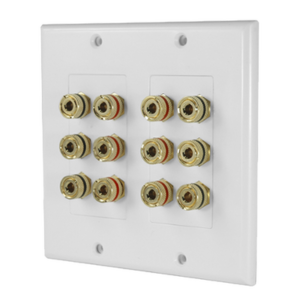 Placa de Pared | Postes de Unión Tipo Banana | Conexión para 6 Altavoces | Fácil Instalación | Conectores Chapados en Oro