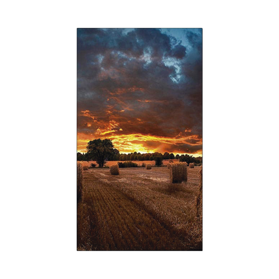 Pantalla Profesional LED de 46" para Video Wall, Full HD (1080p), HDMI/DVI-D, Bisel Ultra Delgado de 2.25mm. Compatible VESA - Image 5